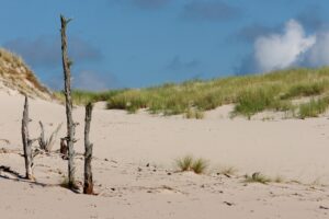 dune ge39c589e0 1280